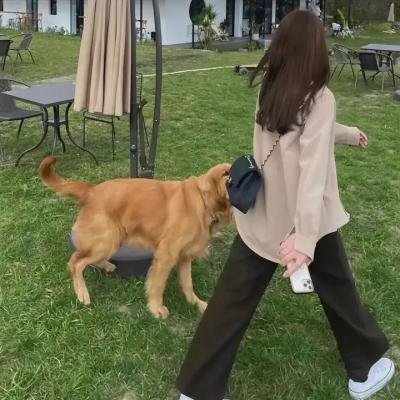 爱情多角错